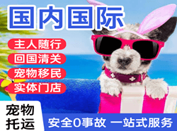 锡林浩特空运国际宠物托运 【国